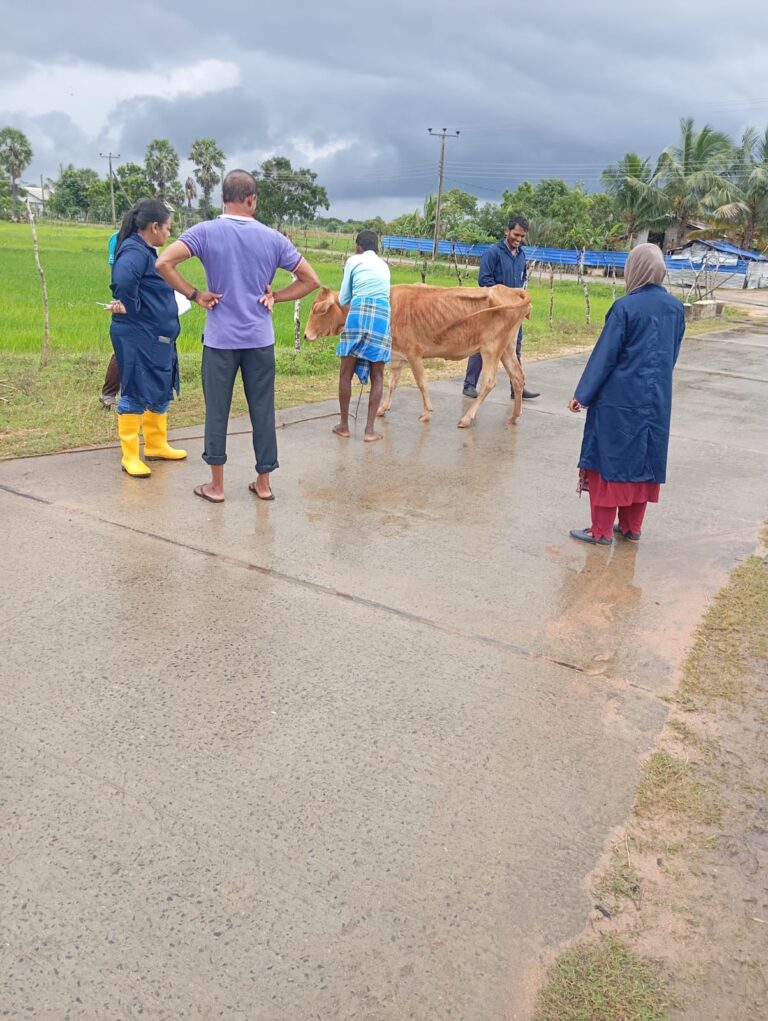 அனர்த்த கால கால் நடைகளுக்கான நடமாடும் சேவை மூலமான சிகிச்சையளிப்பு