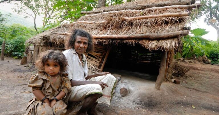 அனர்த்தத்தால் பொருளாதார ரீதியில் பாதிக்கப்பட்டுள்ள  பூர்வீக பழங்குடிகள்!