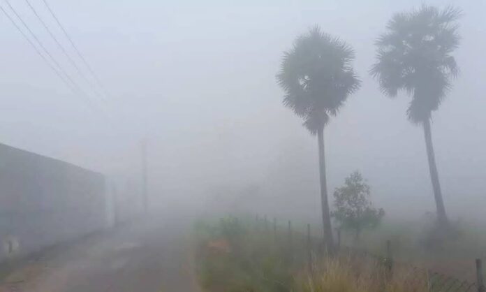 FB_IMG_1769062317282