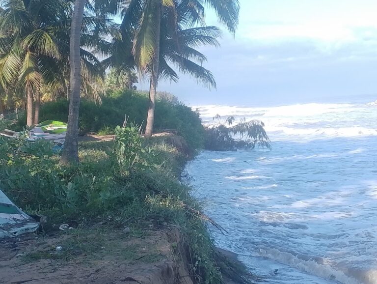 கோமாரியில்  மீனவர்களின்  குடிசைகளை  கடல் காவு கொண்டது!