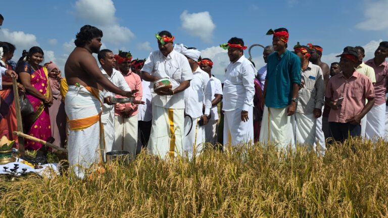 நாவிதன்வெளியில் களைகட்டிய பாரம்பரிய தைப்பொங்கல் திருவிழா!