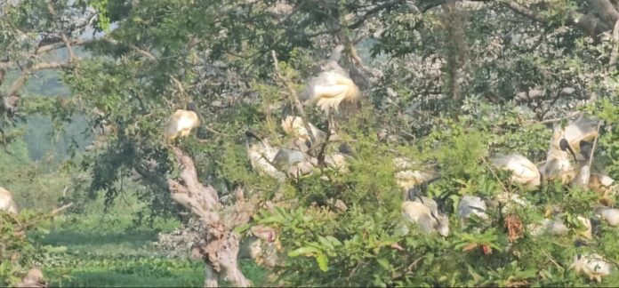 WhatsApp Image 2026-01-21 at 14.59.54 (1)