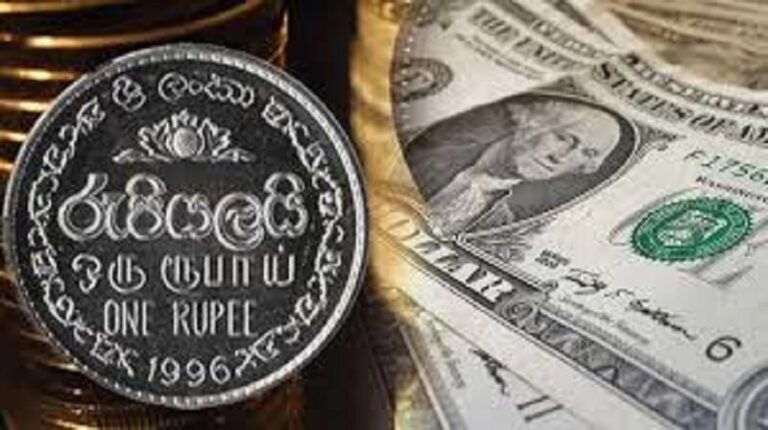 கடந்த வருடத்தில் 5.6 சதவீதம் வீழ்ச்சி கண்ட இலங்கை ரூபா..!