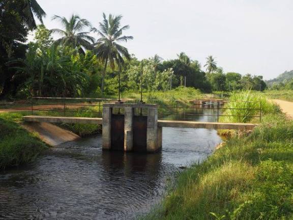 *கிழக்கு மாகாணத்தின் முந்தணை ஆறு ஆற்றுப் படுகை மேம்பாட்டுத் திட்டத்தை…