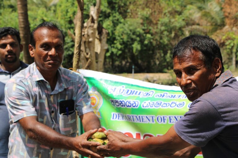 மட்டக்களப்பு மாவட்டத்தில் இஞ்சி மற்றும் மஞ்சள் அறுவடை விழா