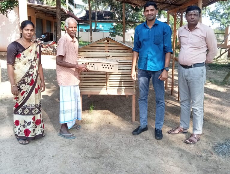 நாவிதன்வெளியில் மாற்றுத் திறனாளிக்கு கோழிக்கூடும் கோழிக்குஞ்சுகளும்