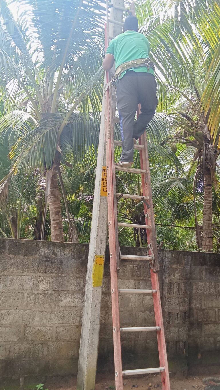 நிந்தவூரில் 50க்கும் மேற்பட்ட மின்விளக்குகள் மீண்டும் ஒளிர்வு !