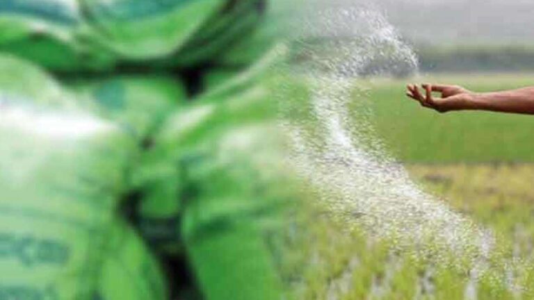 விடுமுறை நாட்களிலும் கமநல சேவை நிலையங்கள் திறப்பு!