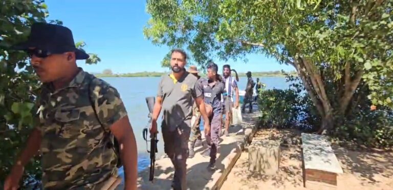 மாந்தீவில் தரித்திருந்த ஆறு காட்டு யானைகளும் 9 மணி நேர கடும் பிரயர்த்தனத்தின் பின்னர் அங்கிருந்து வெளியேற்றப்பட்டது!!