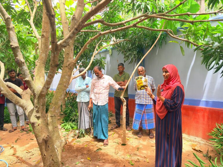 மாமரச் செய்கை-  சம்மாந்துறையில்   விழிப்புணர்வு கருத்தரங்கு