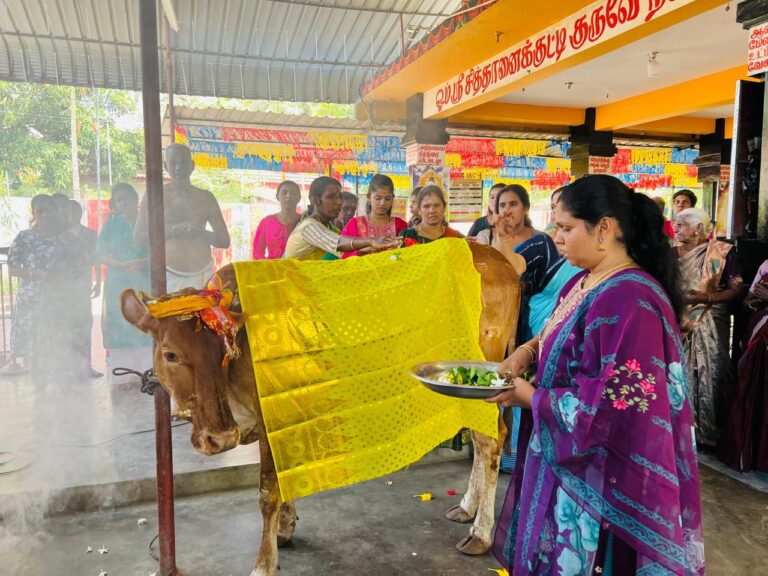 இன்று சித்தராலயத்தில் சிறப்பாக நடைபெற்ற கோமாதா பூஜை ; மகாயாகம்!
