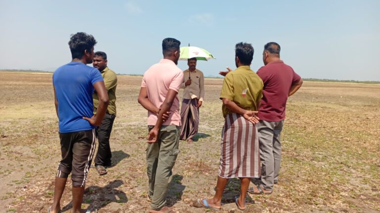 வறட்சியால் தவிக்கும் கால்நடைகளுக்கு ஆலையடிவேம்பு பிரதேசசபை தற்காலிக குடிநீர் ஏற்பாடு.