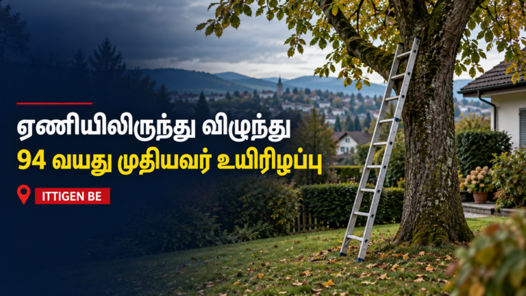மரத்தில் ஏறிய 94 வயது முதியவர் ஏணியிலிருந்து விழுந்து உயிரிழப்பு