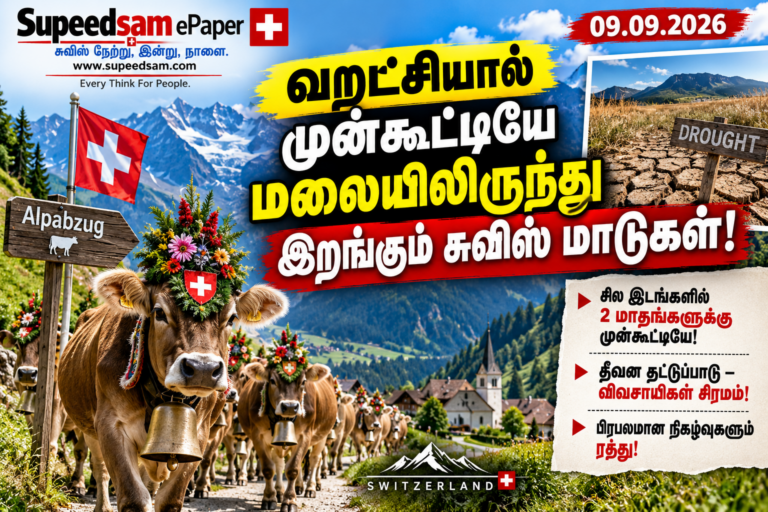 வறட்சியால் முன்கூட்டியே மலையிலிருந்து இறங்கும் சுவிஸ் மாடுகள்!